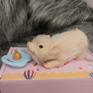 Силиконовая свинка реборн Plushie