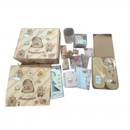 Набор Канцелярии Capybara, 13 предметов